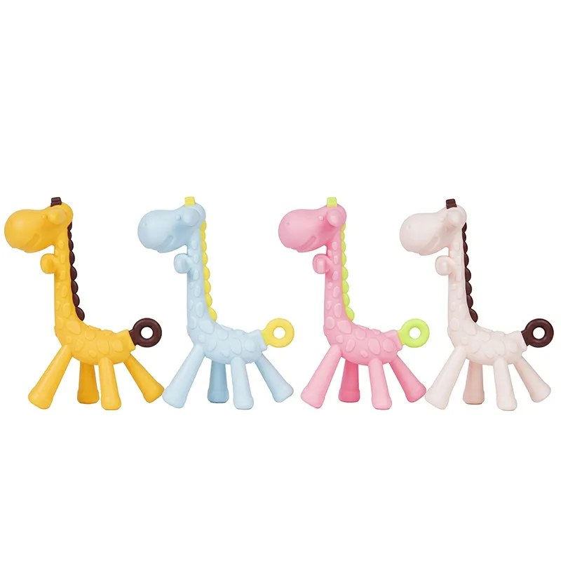 product-800-800